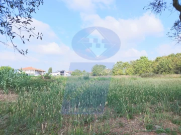 Terreno para Venda em Palhaça