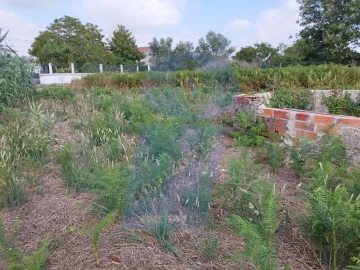 Terreno para Venda em Palhaça
