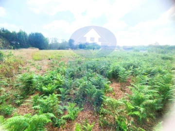 Terreno para Venda em Palhaça