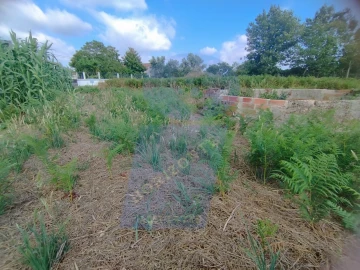 Terreno para Venda em Palhaça