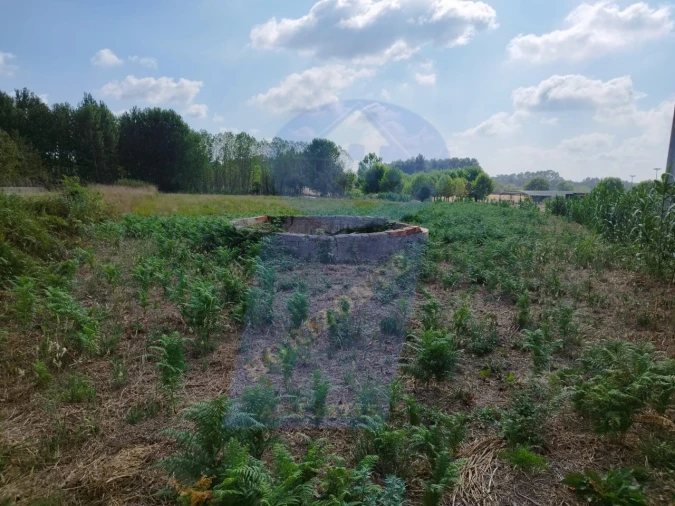 Terreno para Venda em Palhaça Foto 3