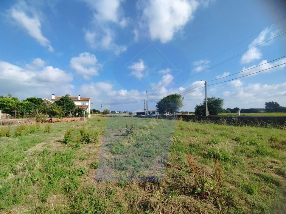Terreno para Venda em Palhaça Foto 1