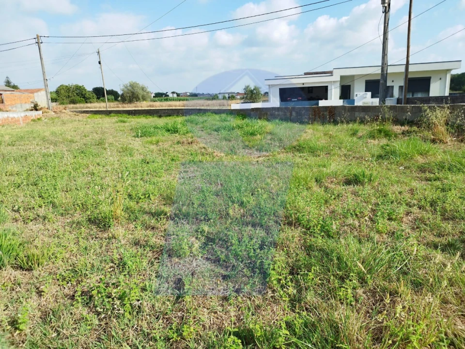 Terreno para Venda em Palhaça Foto 11