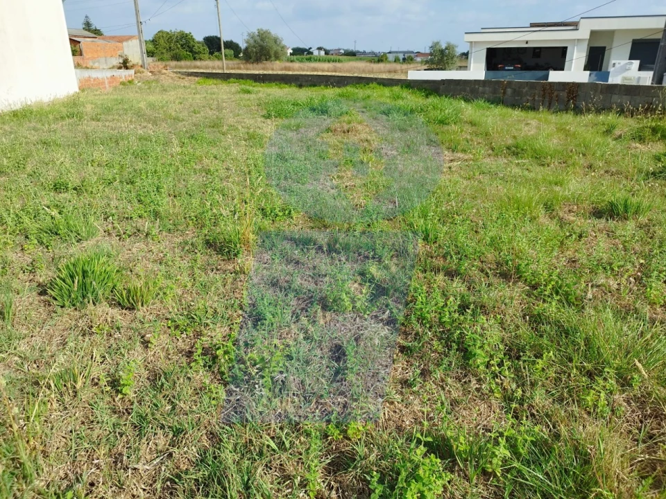 Terreno para Venda em Palhaça Foto 12