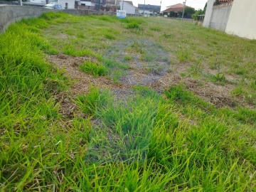 Terreno para Venda em Palhaça