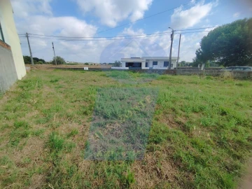 Terreno para Venda em Palhaça