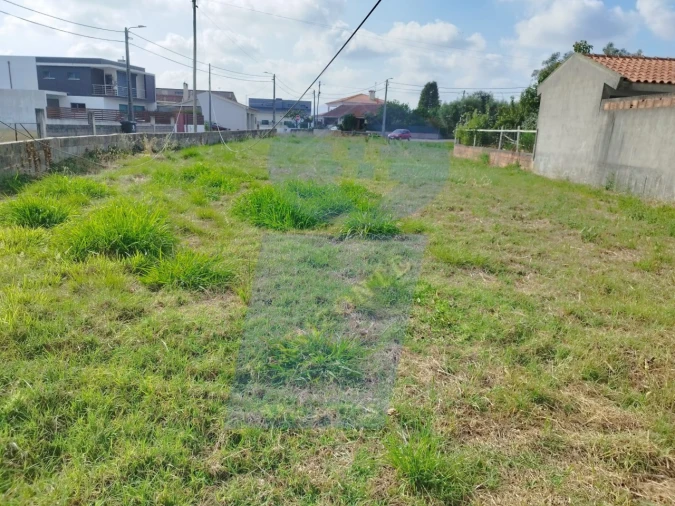 Terreno para Venda em Palhaça Foto 3
