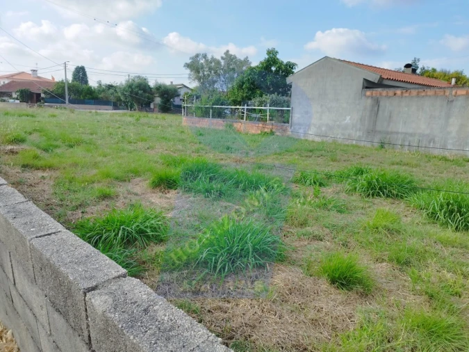 Terreno para Venda em Palhaça Foto 4