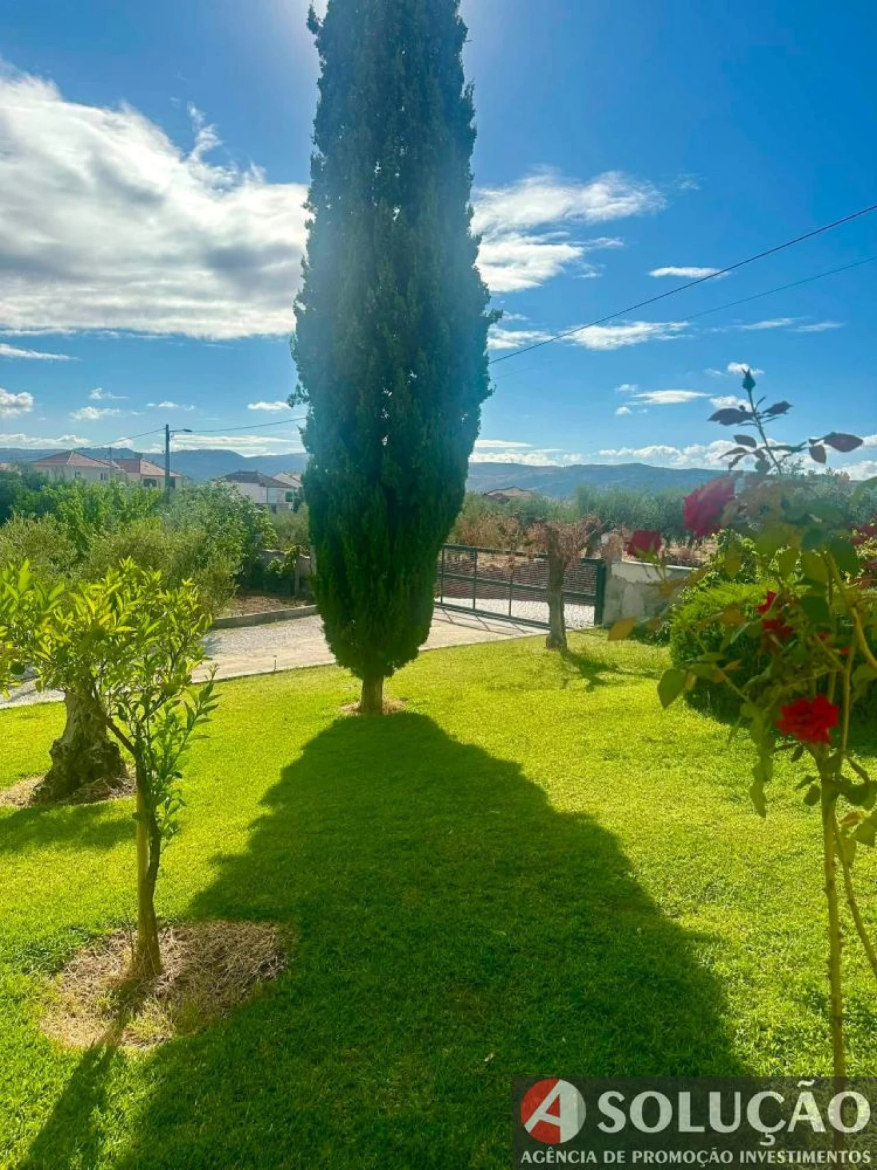 Moradia T3 para Venda em Assares e Lodões Foto 7
