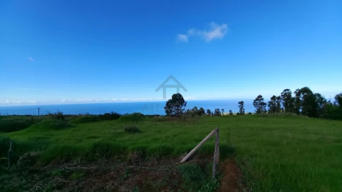 Terreno para Venda em Ponta do Pargo