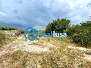 Terreno para Venda em Paredes