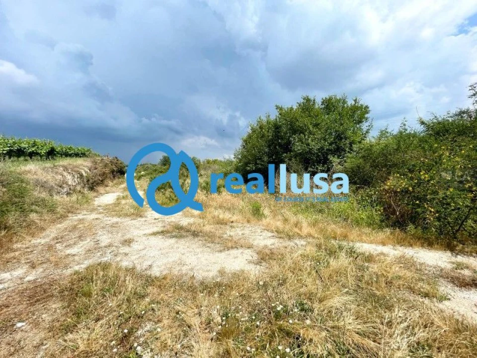 Terreno para Venda em Paredes Foto 3