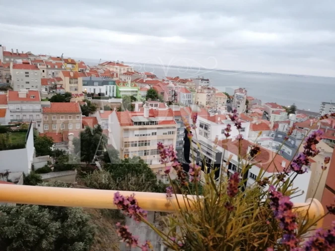 Apartamento T1 para Arrendamento em São Vicente Foto 13
