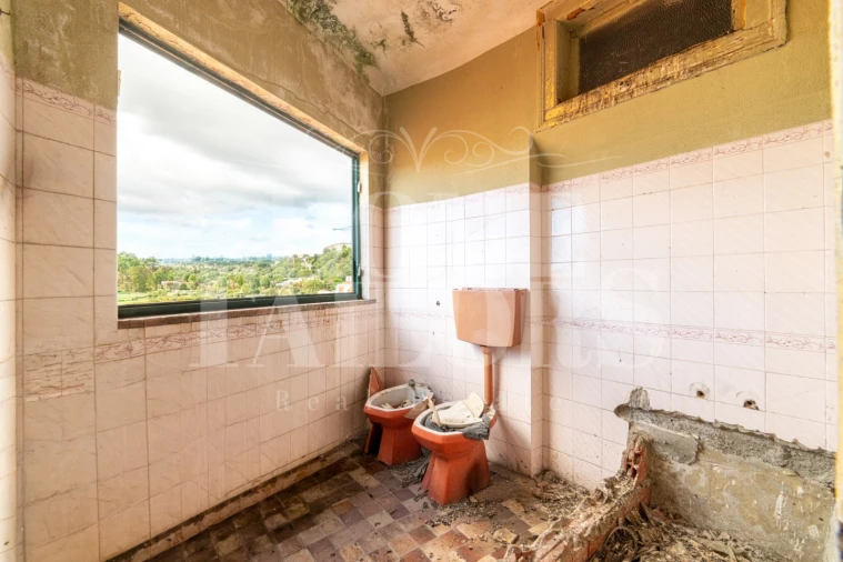 Prédio para Venda em Santa Maria Maior Foto 25