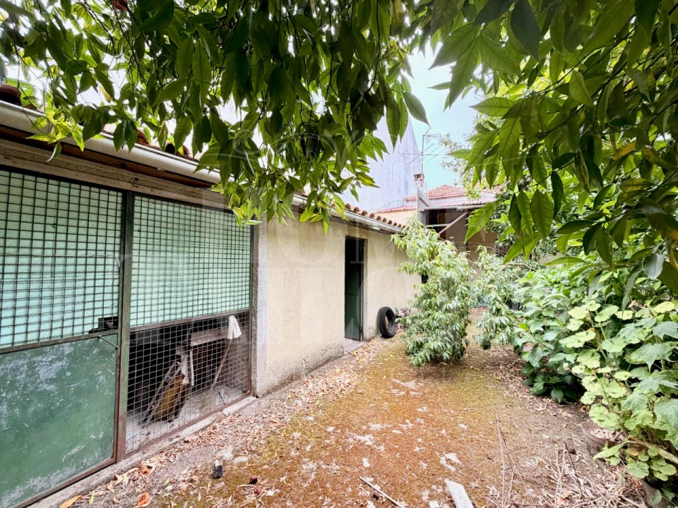 Moradia T4 para Venda em Currelos, Papízios e Sobral Foto 21