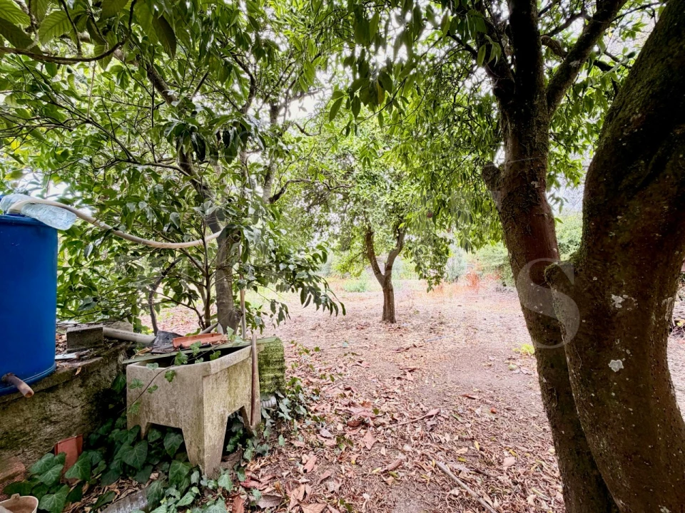 Moradia T4 para Venda em Currelos, Papízios e Sobral Foto 22
