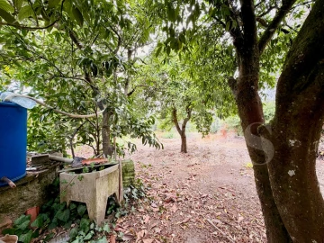 Moradia T4 para Venda em Currelos, Papízios e Sobral