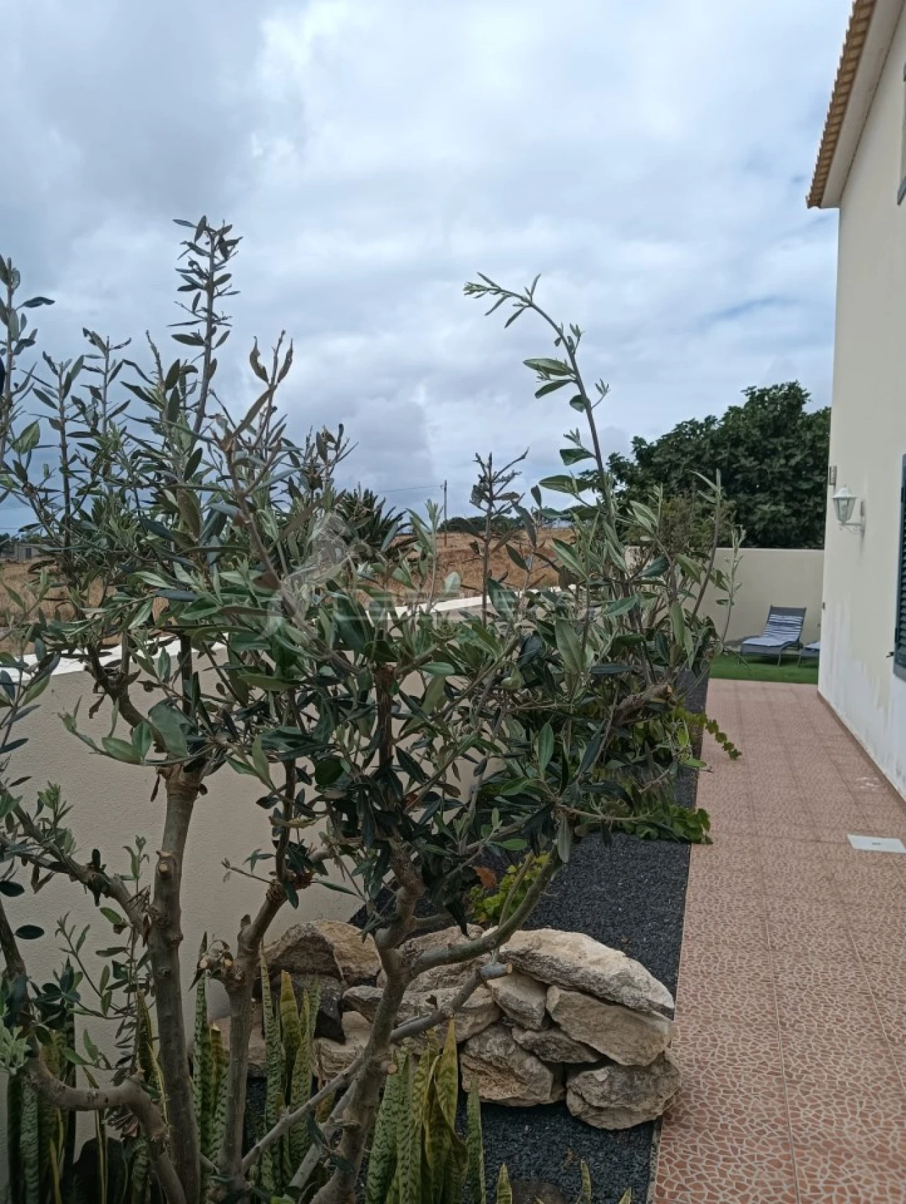 Moradia T3 para Venda em Porto Santo Foto 3