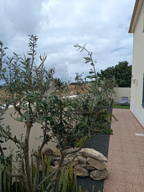 Moradia T3 para Venda em Porto Santo