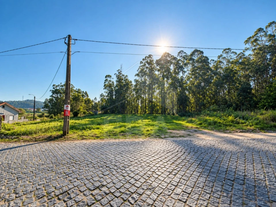 Terreno para Venda em Perelhal Foto 5