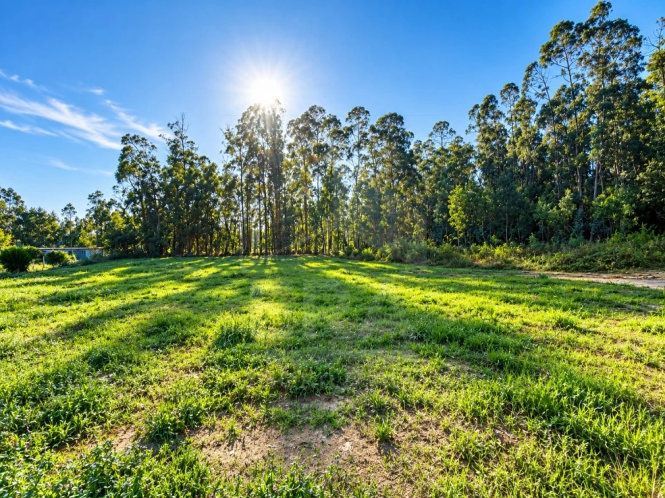 Terreno para Venda em Perelhal Foto 3