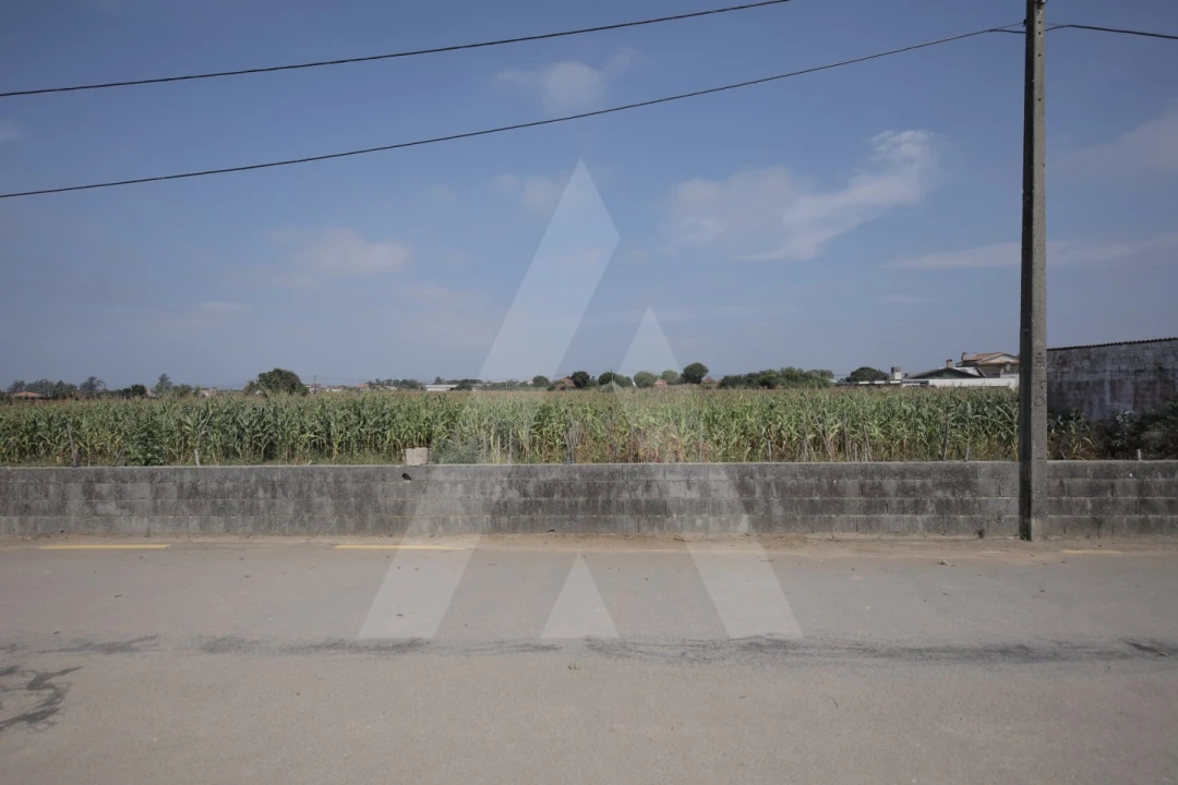 Terreno para Venda em Requeixo, Nossa Senhora de Fátima e Nariz Foto 10