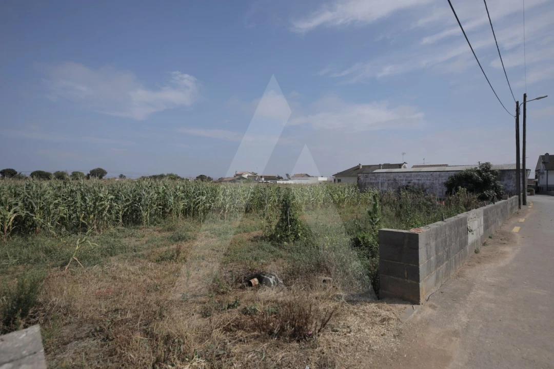 Terreno para Venda em Requeixo, Nossa Senhora de Fátima e Nariz Foto 11