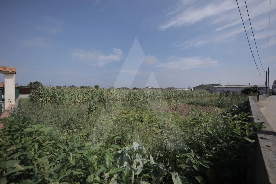 Terreno para Venda em Requeixo, Nossa Senhora de Fátima e Nariz Foto 12