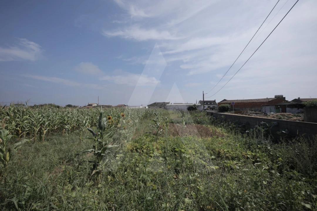Terreno para Venda em Requeixo, Nossa Senhora de Fátima e Nariz Foto 13