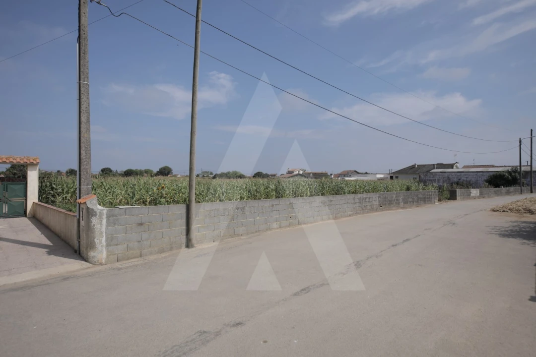 Terreno para Venda em Requeixo, Nossa Senhora de Fátima e Nariz Foto 14