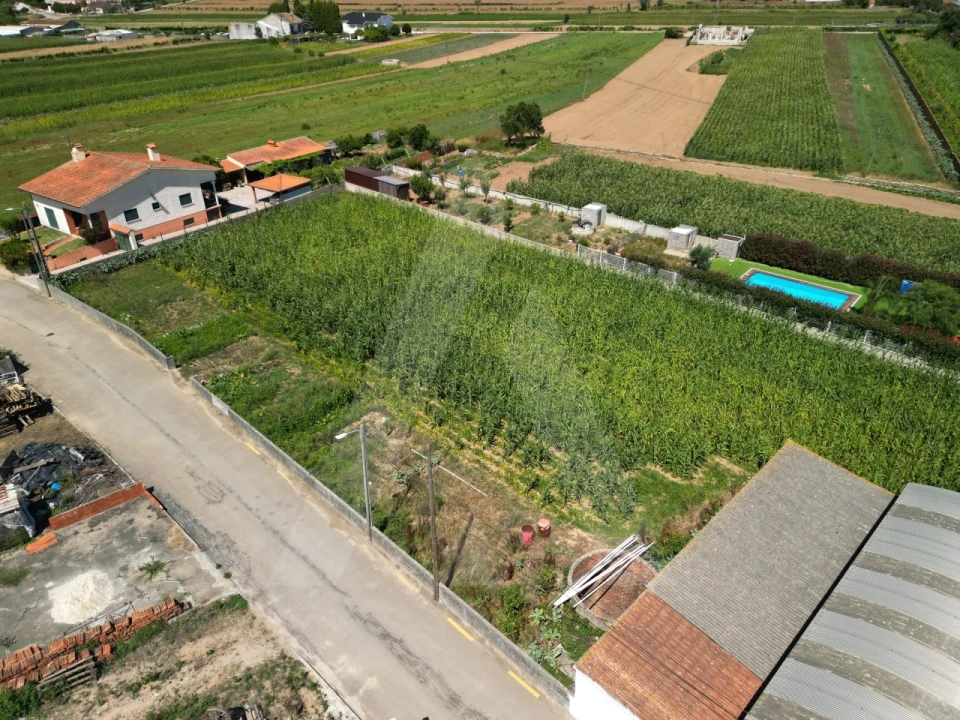 Terreno para Venda em Requeixo, Nossa Senhora de Fátima e Nariz Foto 1