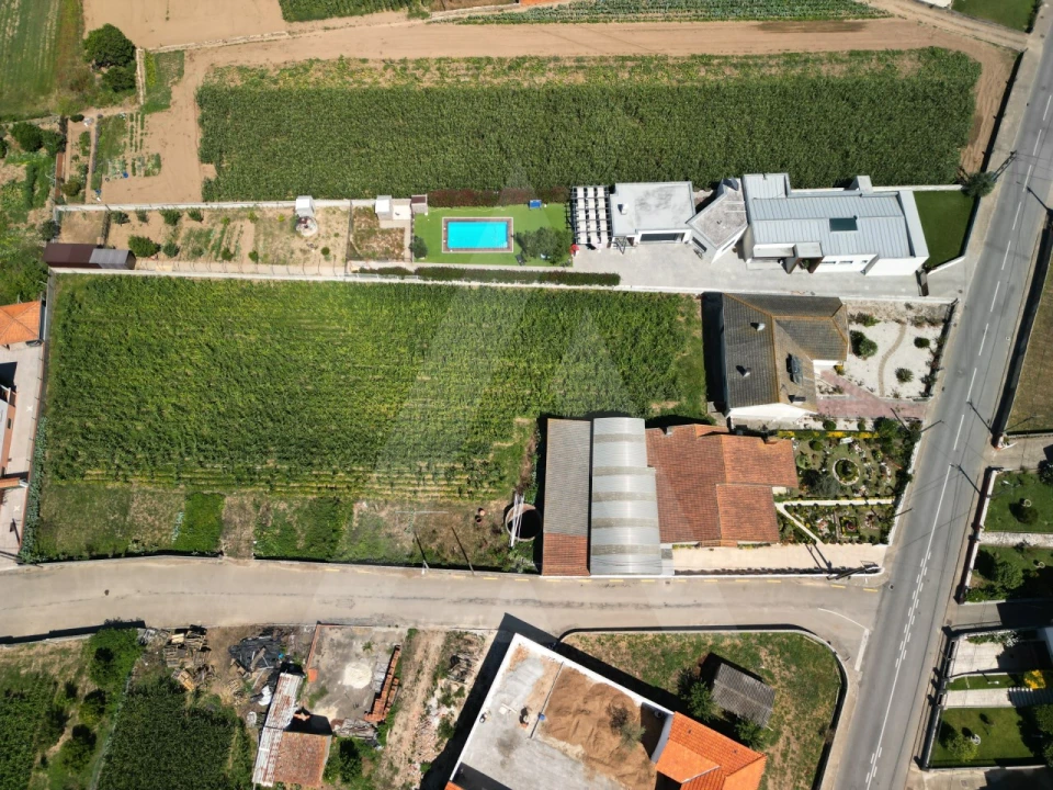 Terreno para Venda em Requeixo, Nossa Senhora de Fátima e Nariz Foto 3