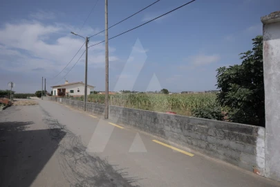 Terreno para Venda em Requeixo, Nossa Senhora de Fátima e Nariz