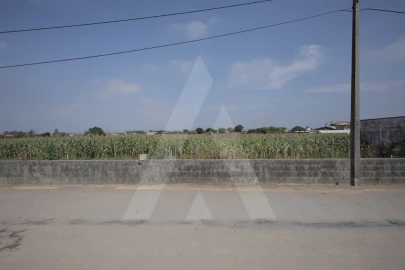 Terreno para Venda em Requeixo, Nossa Senhora de Fátima e Nariz