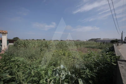 Terreno para Venda em Requeixo, Nossa Senhora de Fátima e Nariz