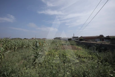 Terreno para Venda em Requeixo, Nossa Senhora de Fátima e Nariz
