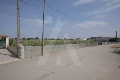 Terreno para Venda em Requeixo, Nossa Senhora de Fátima e Nariz