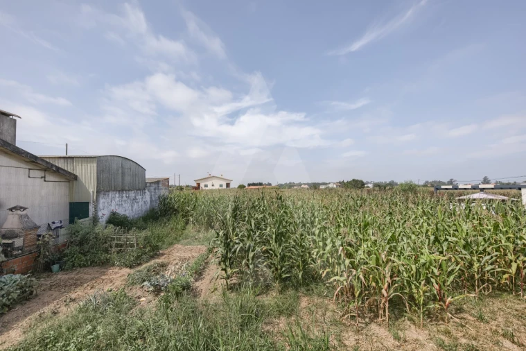 Terreno para Venda em Requeixo, Nossa Senhora de Fátima e Nariz Foto 9