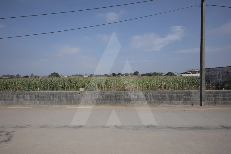 Terreno para Venda em Requeixo, Nossa Senhora de Fátima e Nariz Foto 10