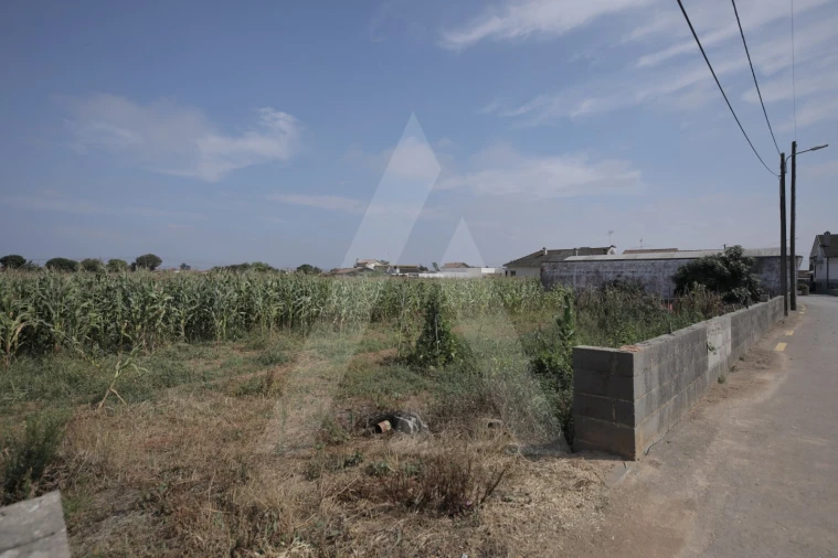 Terreno para Venda em Requeixo, Nossa Senhora de Fátima e Nariz Foto 11