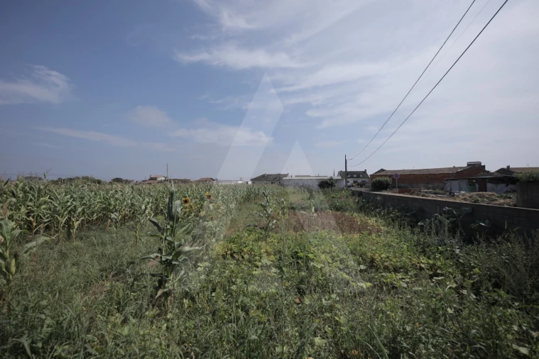 Terreno para Venda em Requeixo, Nossa Senhora de Fátima e Nariz Foto 13
