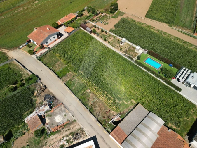 Terreno para Venda em Requeixo, Nossa Senhora de Fátima e Nariz Foto 6
