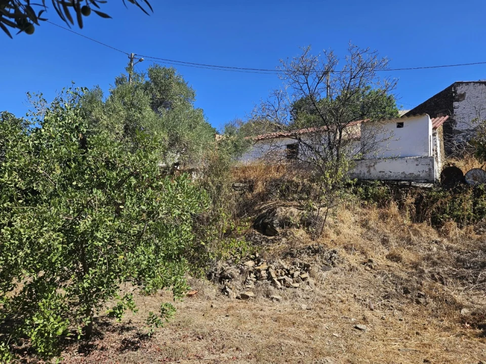 Terreno para Venda em Tavira (Santa Maria e Santiago) Foto 6