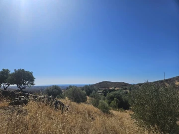 Terreno para Venda em Tavira (Santa Maria e Santiago)