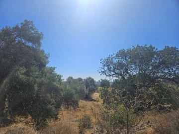 Terreno para Venda em Tavira (Santa Maria e Santiago)