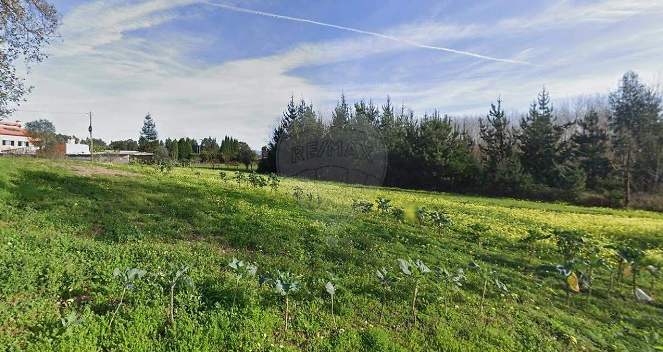 Terreno para Venda em Requeixo, Nossa Senhora de Fátima e Nariz Foto 4