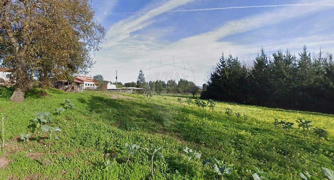 Terreno para Venda em Requeixo, Nossa Senhora de Fátima e Nariz Foto 3