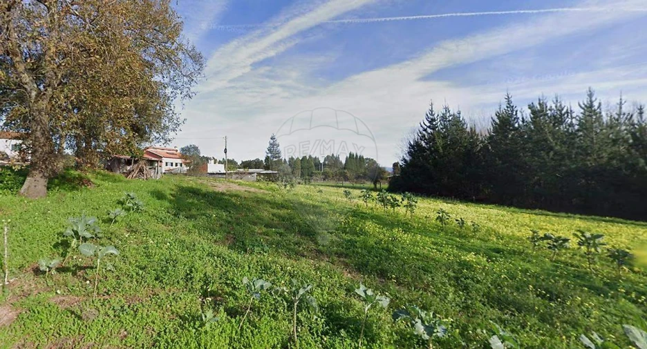 Terreno para Venda em Requeixo, Nossa Senhora de Fátima e Nariz Foto 3