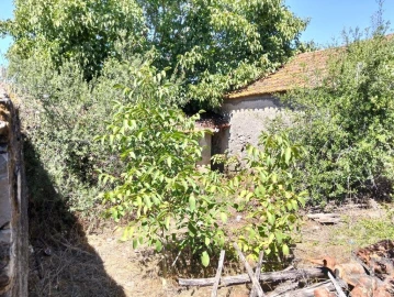 Moradia para Venda em Brogueira, Parceiros de Igreja e Alcorochel