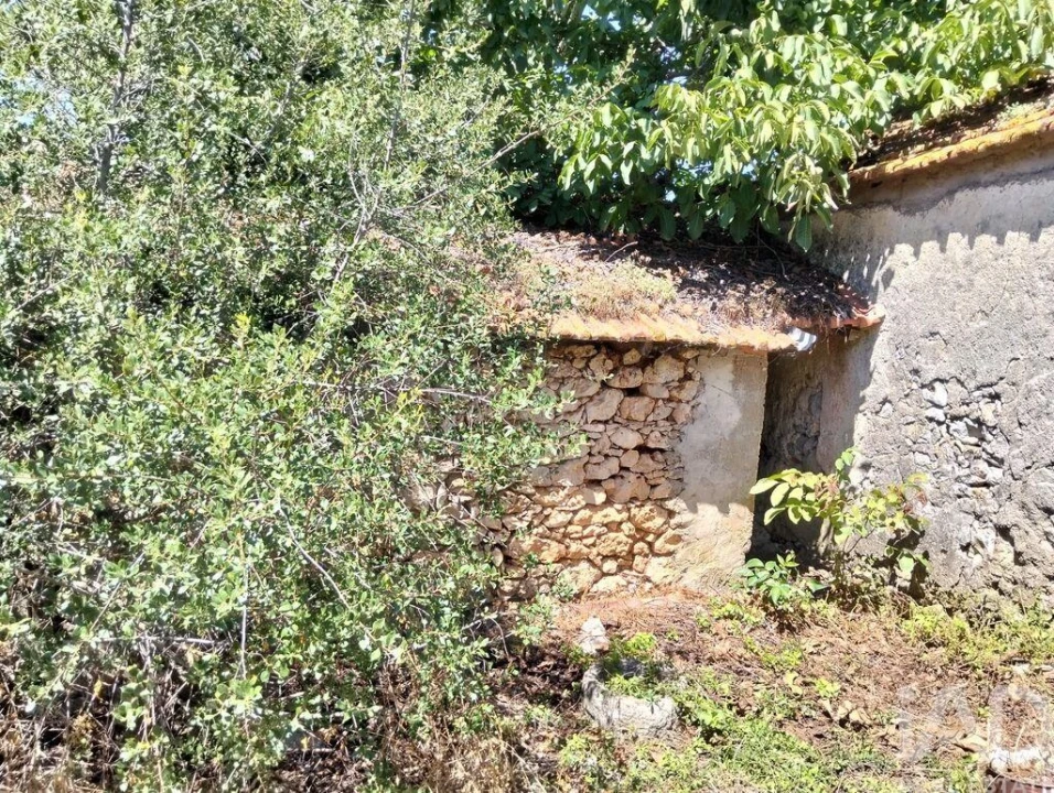 Moradia para Venda em Brogueira, Parceiros de Igreja e Alcorochel Foto 8